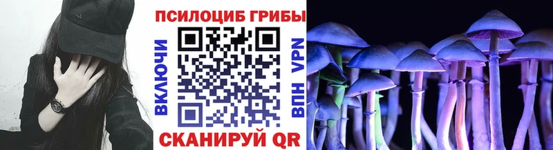 Псилоцибиновые грибы прущие грибы  Малмыж 