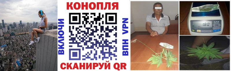 наркота  Малмыж  Канабис семена 